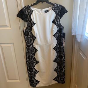 Adrianna Papell white and black lace detail dress